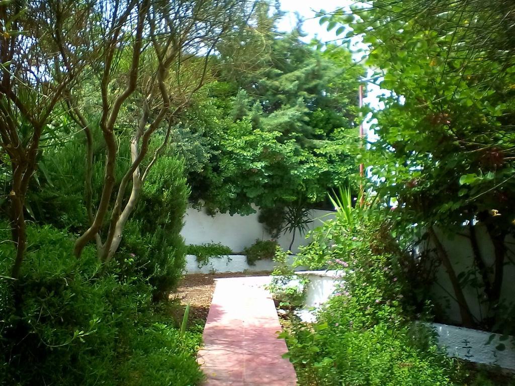 Irini Studios Plomari Exterior foto